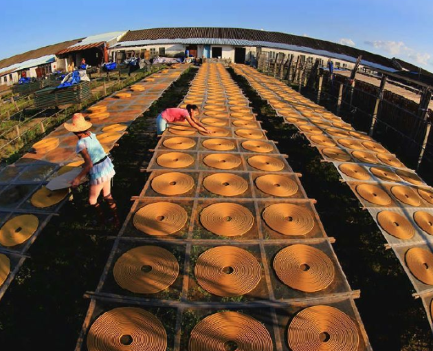 第三届中国（新会）香文化博览会开幕