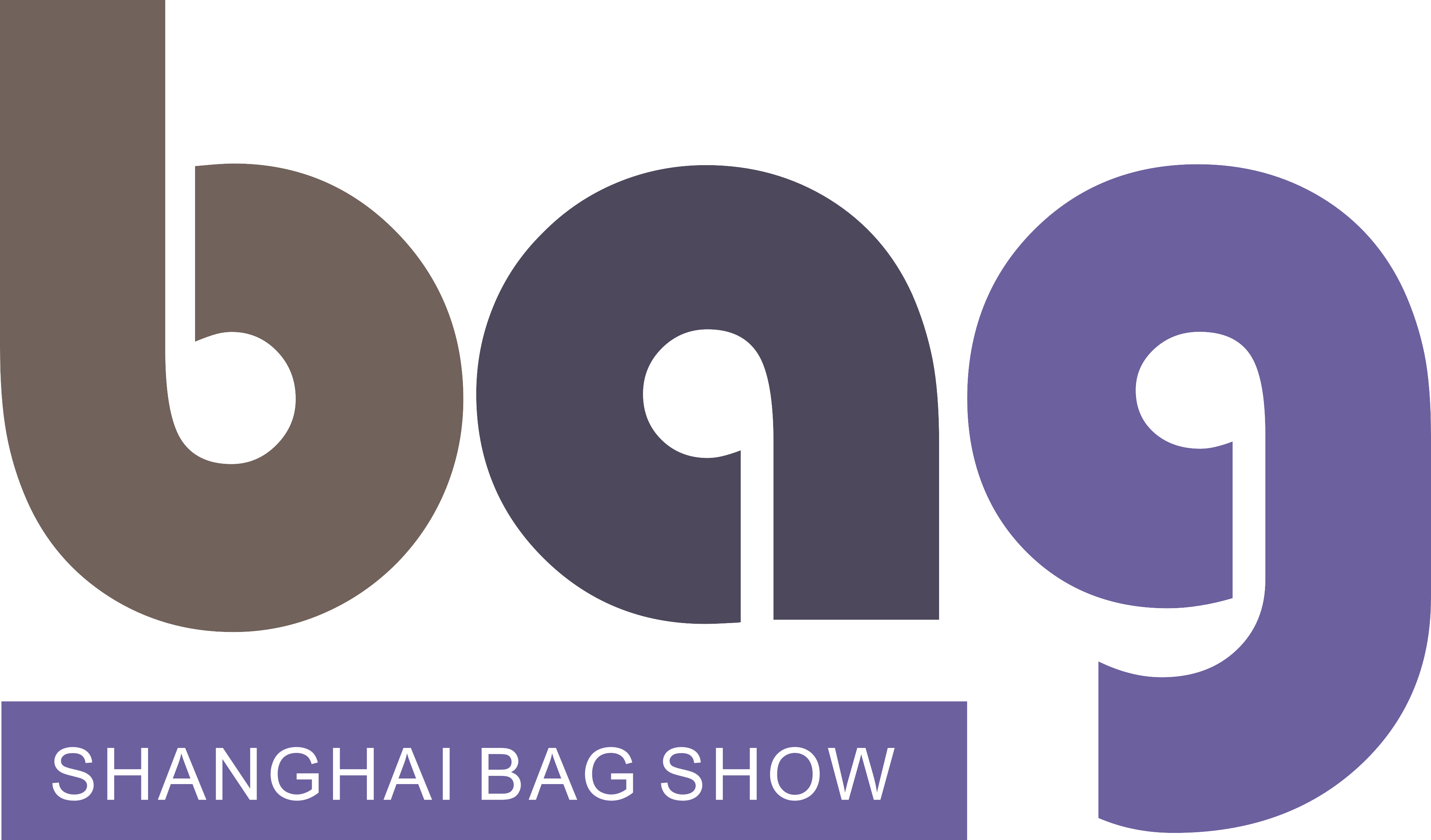 2020第17届上海国际箱包展览会